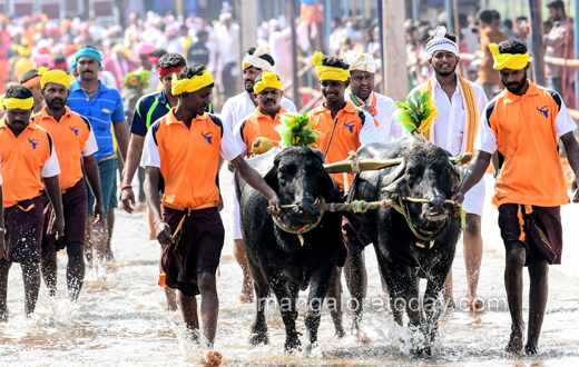 Rama-Lakshmana Jodukare Kambala
